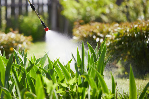 24/7 Emergency Wasp Removal experts in Burlington, WI