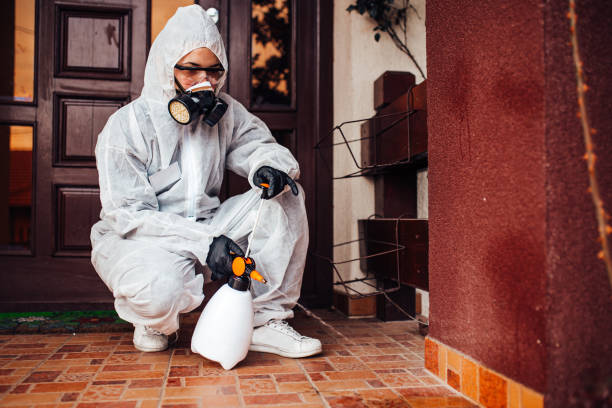 Reliable Wasp Removal contractor in Burlington, WI by Show Me Pest Control