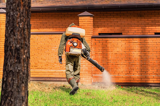 Top rated local Wasp Removal specialists in Burlington, WI